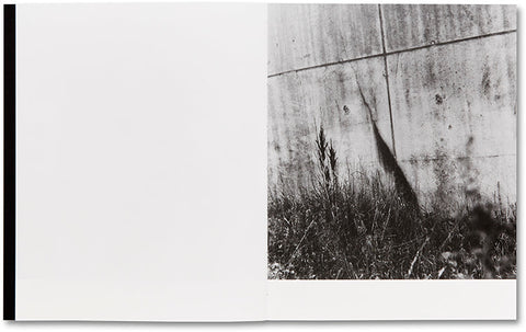 They were my Landscape Phoebe Kiely - MACK