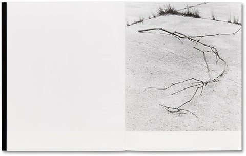 They were my Landscape Phoebe Kiely - MACK