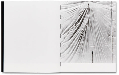 They were my Landscape Phoebe Kiely - MACK