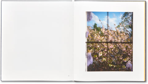 I Know How Furiously Your Heart Is Beating Alec Soth - MACK