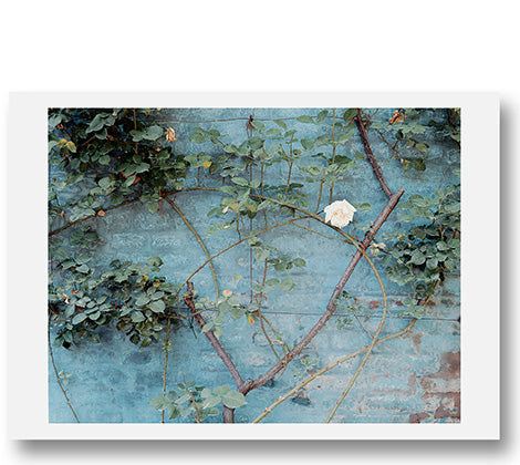 Luigi Ghirri Postcards Luigi Ghirri - MACK
