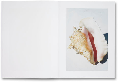 Shelter Island Roe Ethridge - MACK