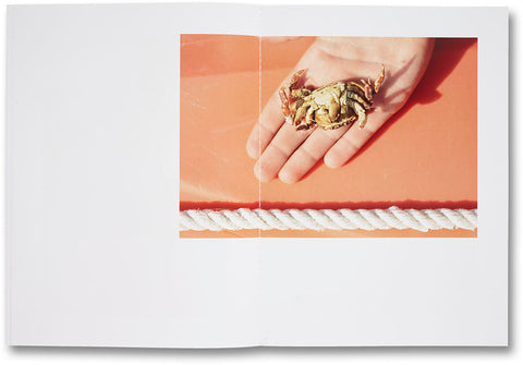 Shelter Island Roe Ethridge - MACK