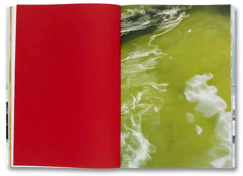 Nature & Politics Thomas Struth - MACK