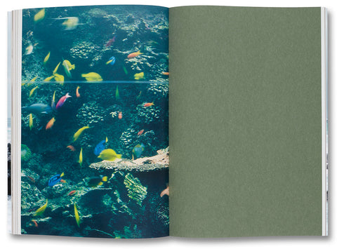 Nature & Politics Thomas Struth - MACK