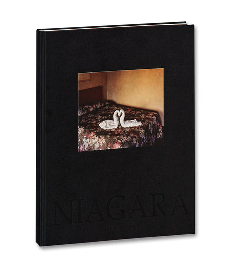 Niagara Alec Soth - MACK