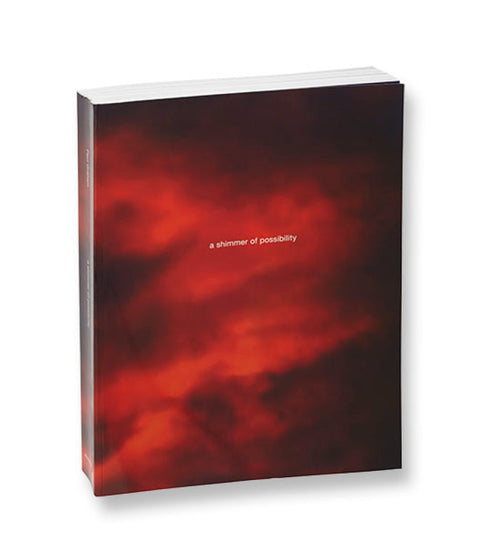 a shimmer of possibility (paperback) Paul Graham - MACK