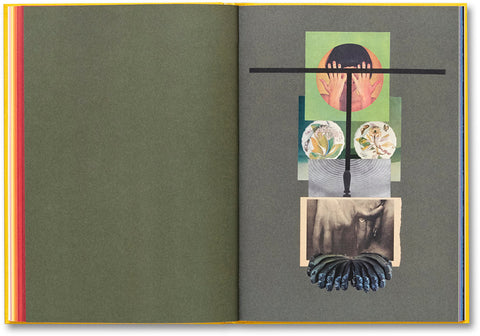 Handbook of the Spontaneous Other Aikaterini Gegisian - MACK