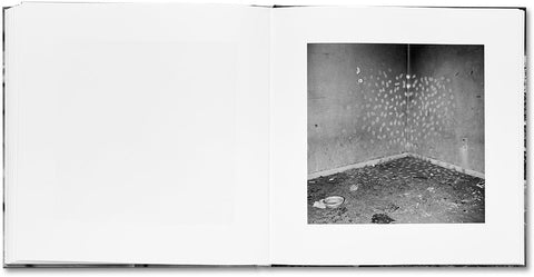 Vandalism John Divola - MACK