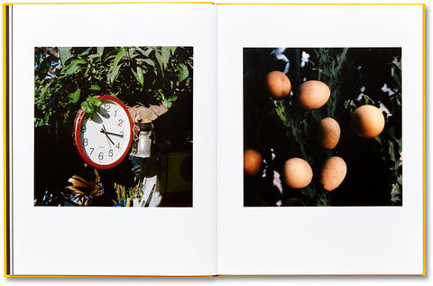Picture Summer on Kodak Film Jason Fulford - MACK