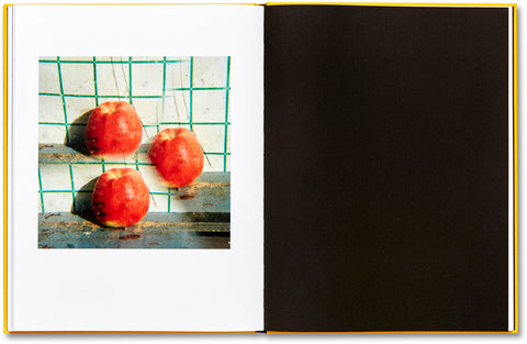 Picture Summer on Kodak Film Jason Fulford - MACK