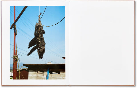 Murder Guillaume Simoneau - MACK