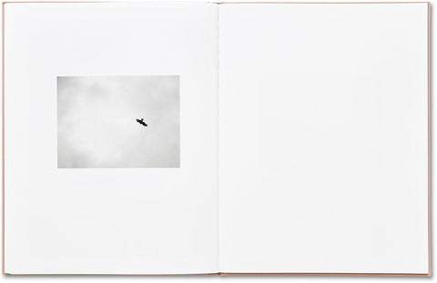 Murder Guillaume Simoneau - MACK