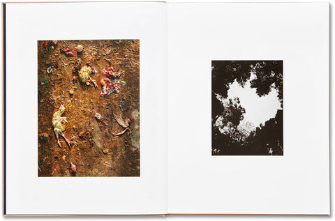 Murder Guillaume Simoneau - MACK