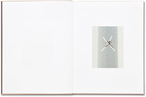 Murder Guillaume Simoneau - MACK