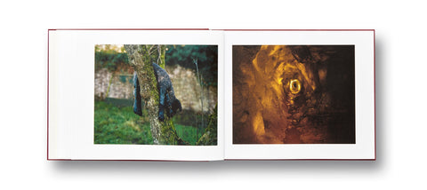 The Moth Jem Southam - MACK