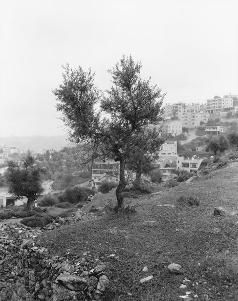 Adam Broomberg & Issa Amro: ‘Anchor in the Landscape’ [Book launch & talk]