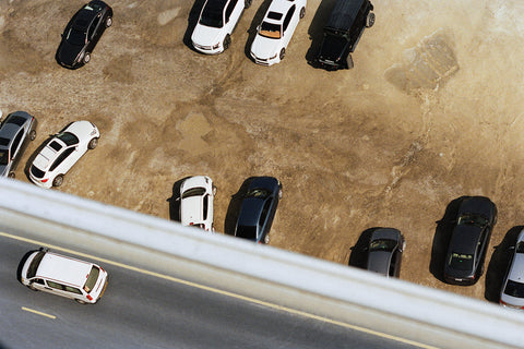 Daniel Shea & Francesca Gavin: 'Distribution' [Book launch & signing]