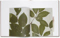 Belongs to Joe <br> Casper Sejersen - MACK