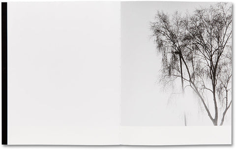 They were my Landscape  Phoebe Kiely - MACK