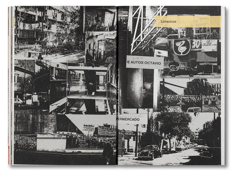 Unleashing Amores Perros