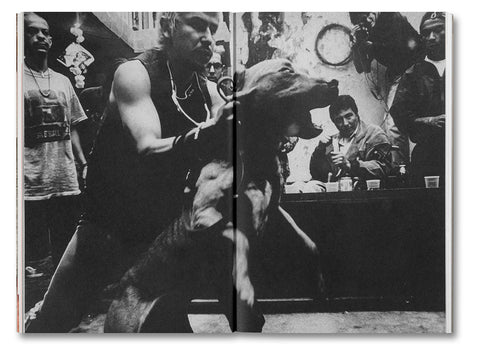 Unleashing Amores Perros