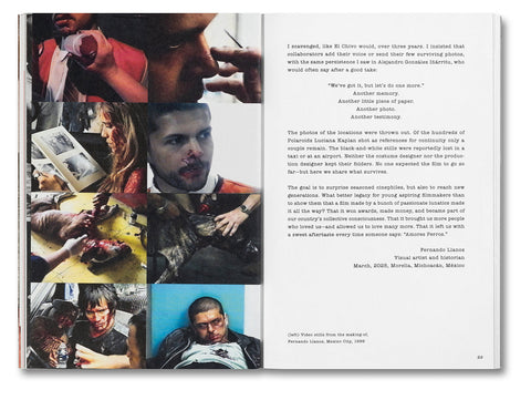 Unleashing Amores Perros