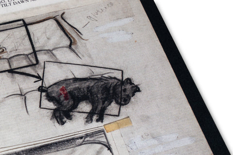 Unleashing Amores Perros