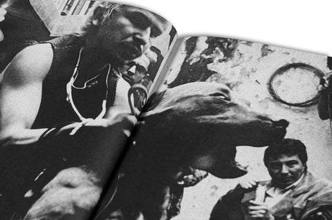 Desatar Amores Perros