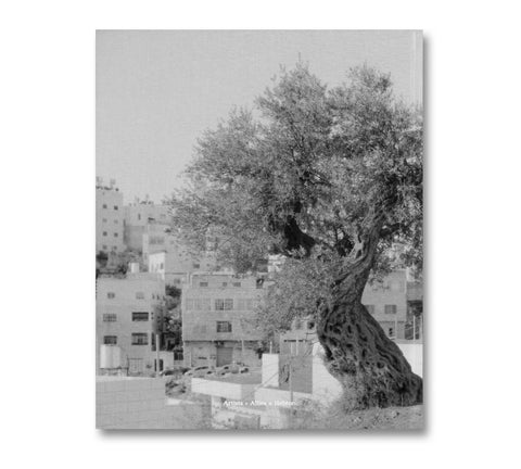 Anchor in the Landscape - MACK