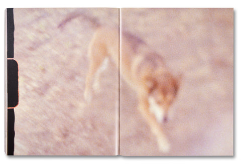 Coming and Going - MACK