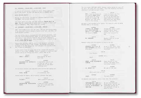 Everything Everywhere All at Once Screenplay Book - MACK