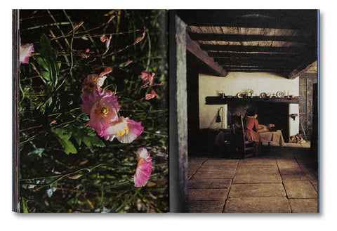 Even as a Shadow, Even as a Dream