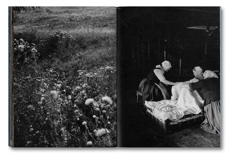 Even as a Shadow, Even as a Dream