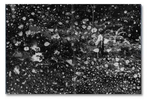 Even as a Shadow, Even as a Dream