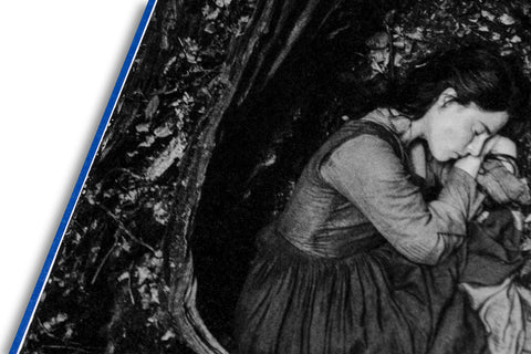 Even as a Shadow, Even as a Dream