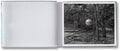 Alec Soth: Gathered Leaves Postcards - MACK