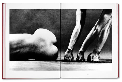 Eikoh Hosoe (Japanese edition) / Yasufumi Nakamori (ed.)