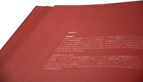 Eikoh Hosoe (Japanese edition) / Yasufumi Nakamori (ed.)