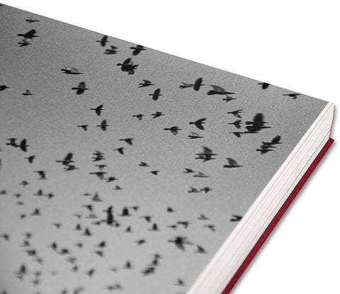 Eikoh Hosoe (Japanese edition) / Yasufumi Nakamori (ed.)