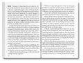 Love in a Time of Allegory - MACK