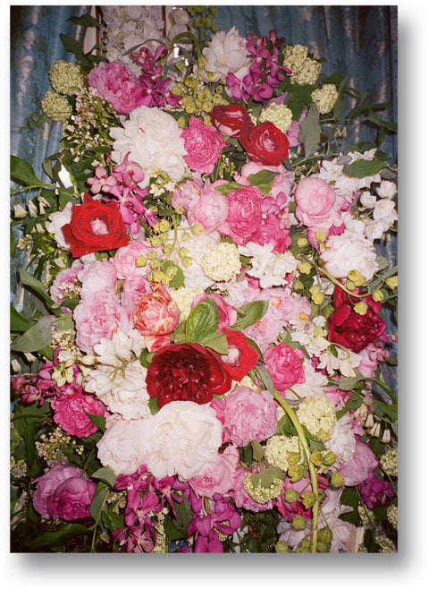 Making Marie Antoinette Postcards