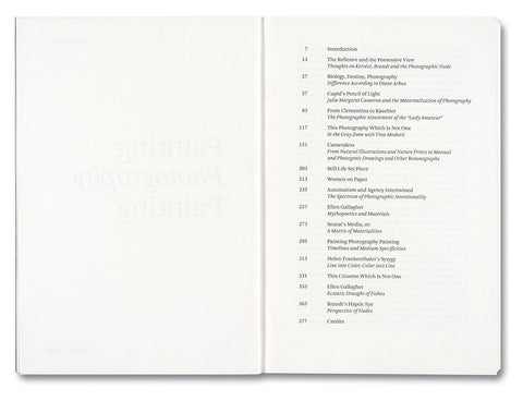 Painting Photography Painting: Selected Essays - MACK