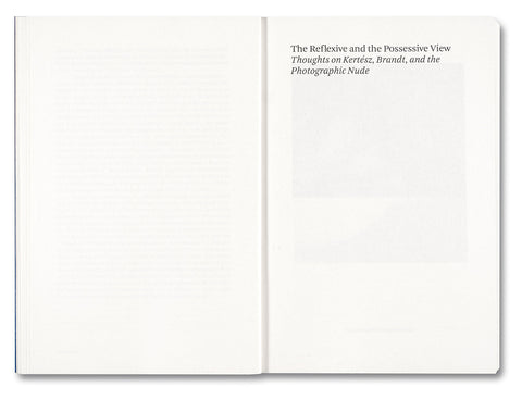 Painting Photography Painting: Selected Essays - MACK