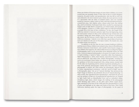 Painting Photography Painting: Selected Essays - MACK