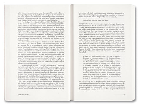 Painting Photography Painting: Selected Essays - MACK