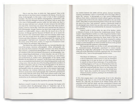 Painting Photography Painting: Selected Essays - MACK