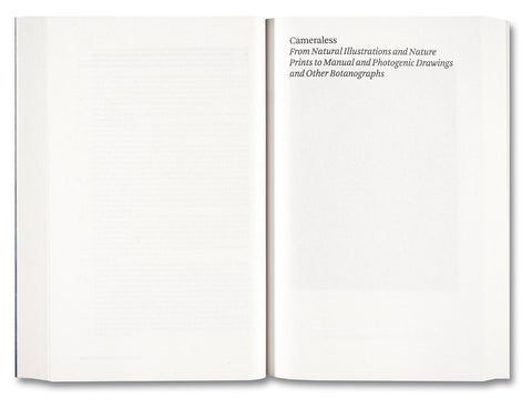 Painting Photography Painting: Selected Essays - MACK