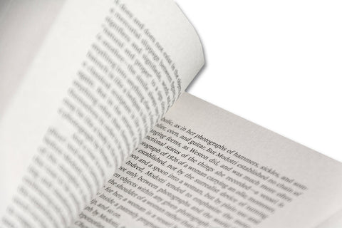 Painting Photography Painting: Selected Essays - MACK