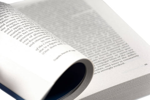 Painting Photography Painting: Selected Essays - MACK